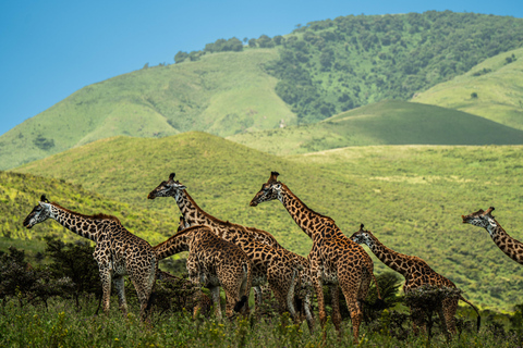 Sansibar: 4-tägige Safari-Reise zum atemberaubenden NatronseeAtemberaubende Lake Natron Safari Reise - Komfortable Unterkunft