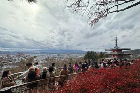 From Tokyo: Mt. Fuji or Hakone Private Sightseeing Day Trip Itinerary A: Mount Fuji
