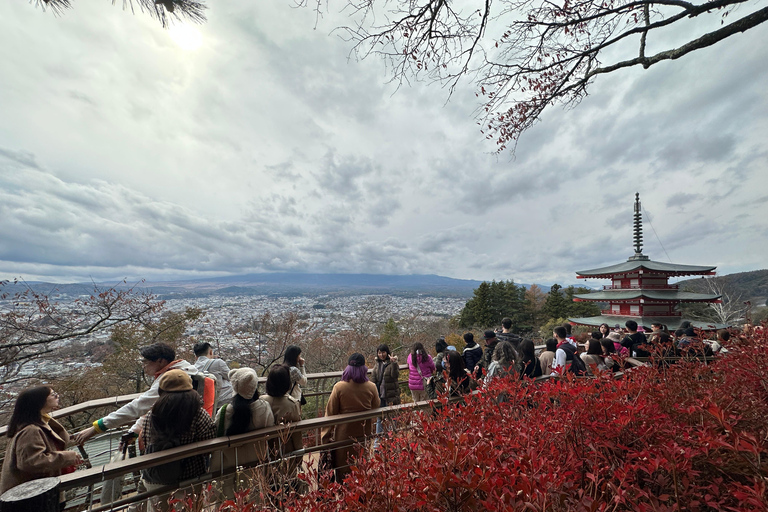 From Tokyo: Mt. Fuji or Hakone Private Sightseeing Day Trip Itinerary A: Mount Fuji
