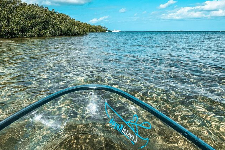 Key West Area: Guided Clear Kayak Eco-Tour