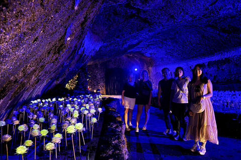 From Seogwipo: Jeju East UNESCO Highlights Join in Tour