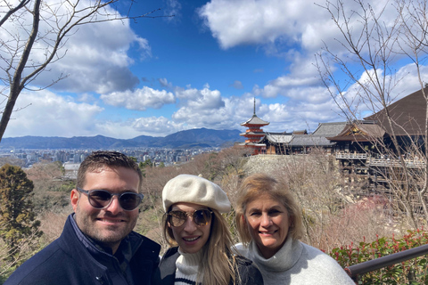 Kyoto: Private Tour with Licensed Guide & Vehicle Regular Car (Up to 2)