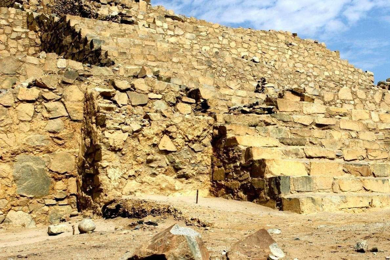 Excursion d&#039;une journée à Caral et Bandurria