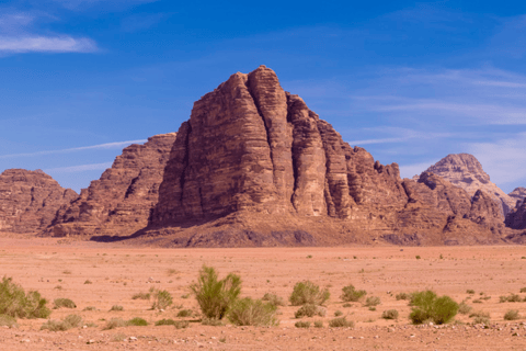 Wadi Rum: Bedouin Camp, Fire Dinner & Desert Experience
