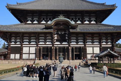 Historische bustour Nara &amp; KyotoTour met lunch