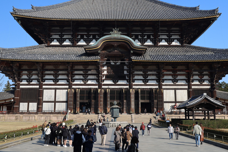 Kyoto: Excursão de ônibus histórica por Nara e KyotoPasseio com almoço