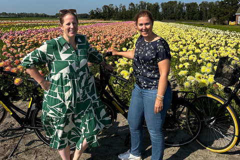 Région des bulbes : Tour cycliste des dahlias