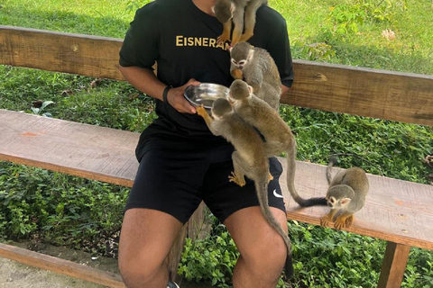 Puerto Plata: Watching Wild Primates and Botanical Hiking