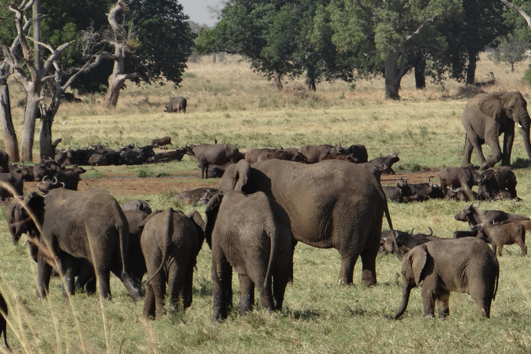 Uganda: 18 Tage Traumurlaub von Ruanda aus