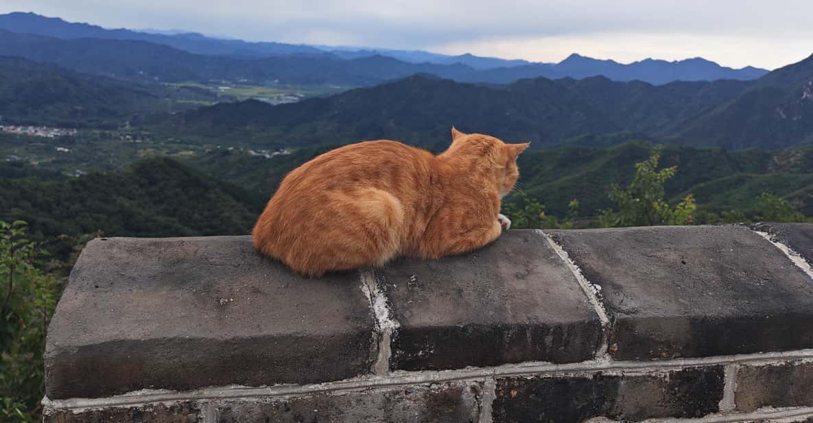 Afbeelding 8 van Vanuit Beijing: Mutianyu Chinese Muur-tours met opties