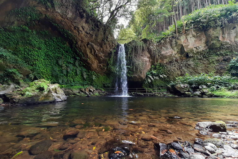 São Miguel: Moinho do Felix-Wanderung mit Besuch der Teefabrik