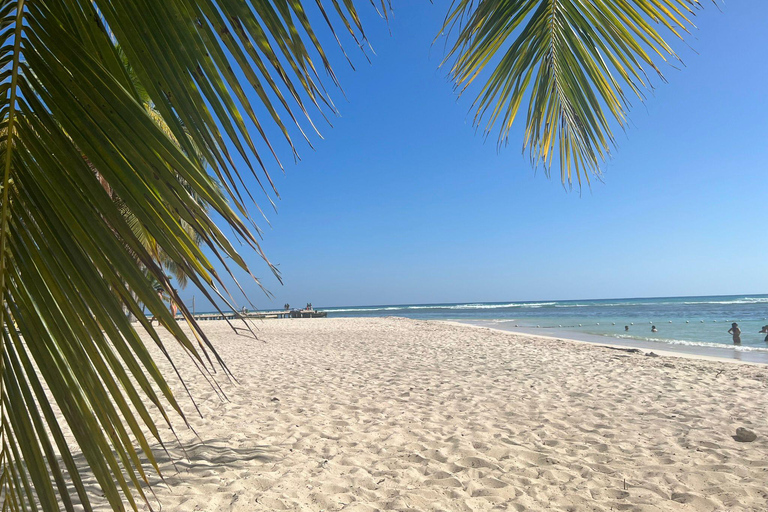 Excursão à Ilha Saona e ao Rio Chavon com almoço e bebidasOpção de excursão regular em grupo compartilhado