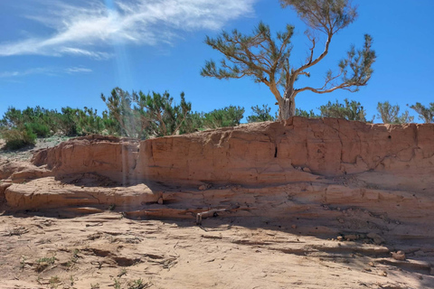 Ulaanbaatar: 7-Day Gobi Desert & Terelj Park Tour