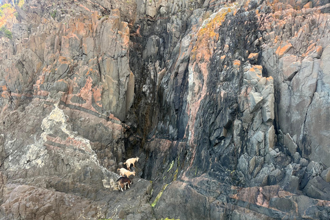 De Cargèse : Le grand tour du Golfe