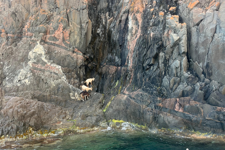 De Cargèse : Le grand tour du Golfe