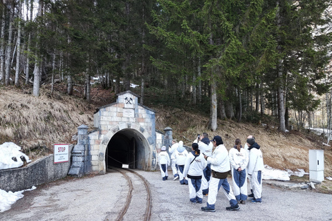 Wien: Hallstatt Private Tour mit Skywalk und Salzbergwerk