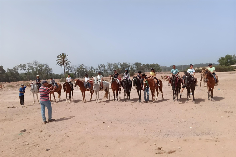 Agadir: Private Souss River Horse Ride with Hotel Pickup