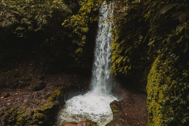 Ubud: Private Tour with Gunung Kawi Temple & Waterfall With Entry Tickets