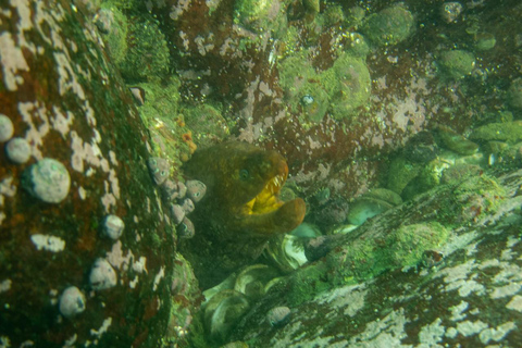 Lima : Découverte de la plongée sous-marine - Première expérience