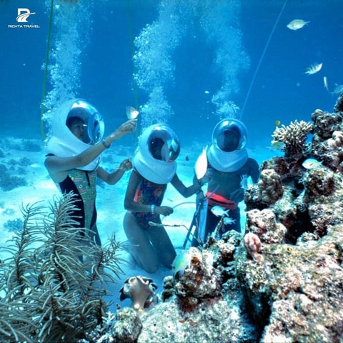 Cu Lao Cham Island Snorkeling Tour With Optional Sea Walking