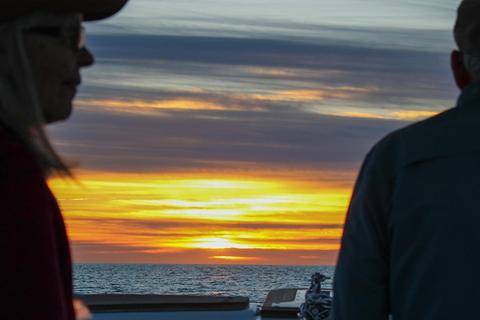 圣何塞卡波观鲸日出之旅