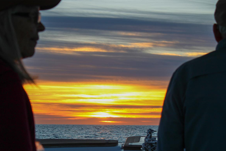 圣何塞卡波观鲸日出之旅