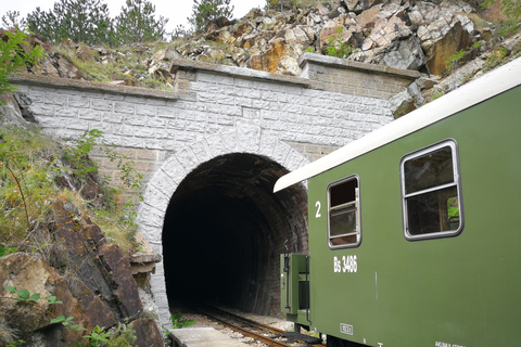 From Belgrade: Mokra Gora Sargan 8 train,Mecavnik & Zlatibor