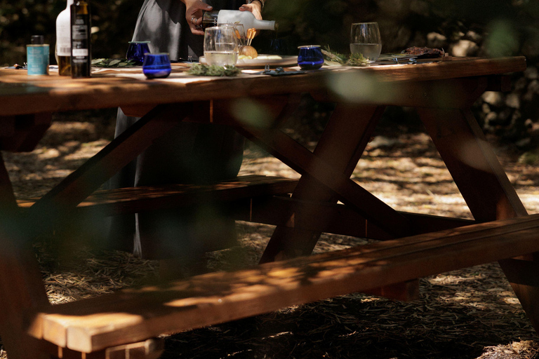 Corfu: Guided Olive Groves Tour with Olive Oil Tasting