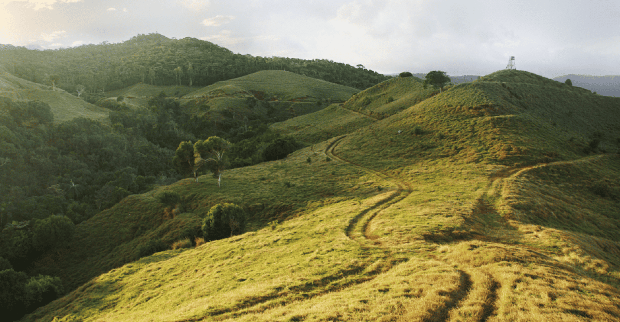 Mauritius: Bel Ombre Nature Reserve Buggy Tour photo 4