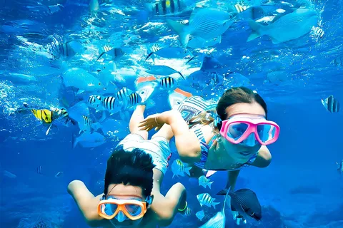 Trincomalee: Tour privato di snorkeling all'isola Pigeon