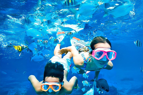 Pigeon Island Snorkeling Tour from Uppuveli Beach