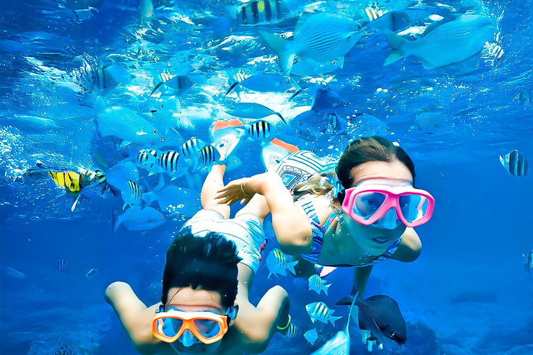 Pigeon Island Snorkeling Tour from Uppuveli Beach