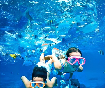 Trincomalee: Tour particular de snorkeling na Ilha Pigeon