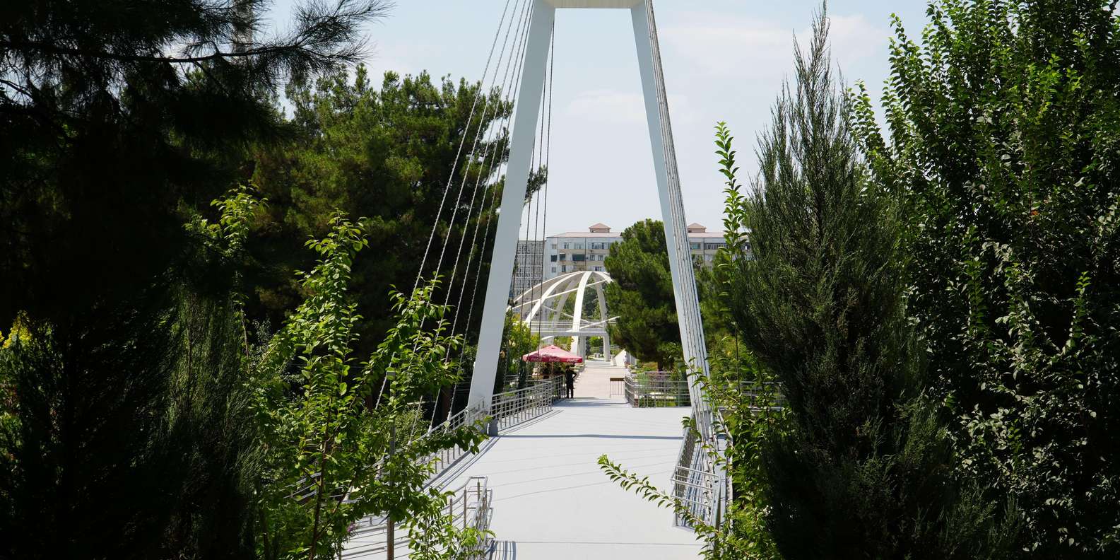 section