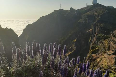 Funchal: Caminhada guiada ao nascer do sol e Escada para o Céu