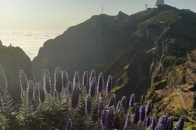 Funchal: Caminhada guiada ao nascer do sol e Escada para o Céu