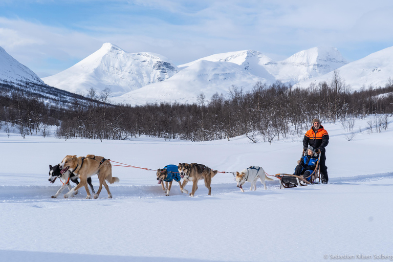 Desde Tromsø: Aventura en trineo tirado por perros en TamokdalenAventura en trineo tirado por perros en Tamokdalen: Salida a mediodía