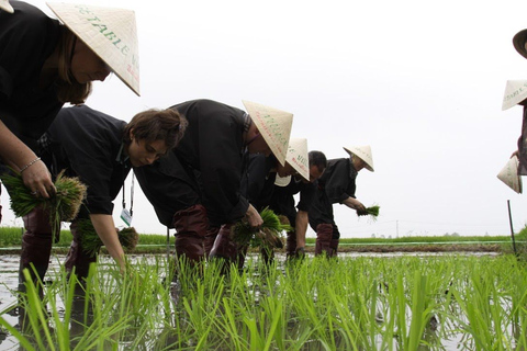 Hoi An: Eco-Luxury Farming and Fishing Tour with Lunch