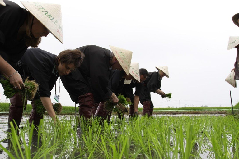 Hoi An: Eco-Luxury Farming and Fishing Tour with Lunch