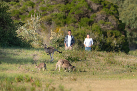 De Melbourne: Excursão ao Wilsons Promontory Wilderness