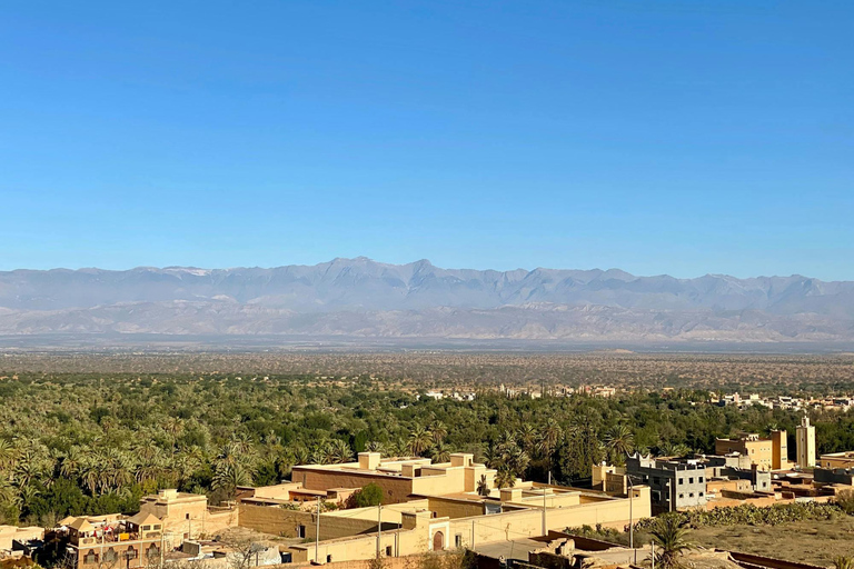 From Agadir: Taroudant and Tiout Day Tour with Lunch