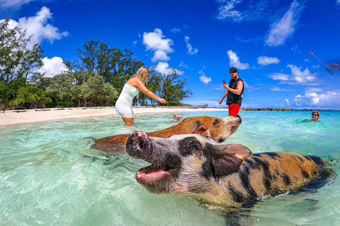 From Nassau: Swimming Pigs Island by Water Taxi with Drinks