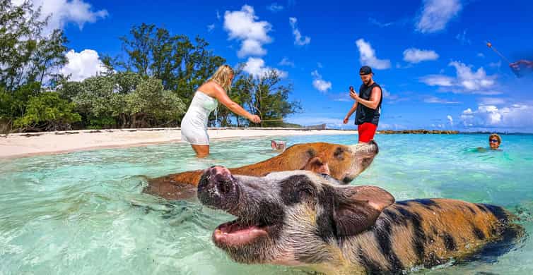 The BEST Nassau Private tours 2024 - FREE Cancellation | GetYourGuide