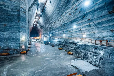 From Brasov: Bear Sanctuary & Slanic Salt Mine + Tickets Slănic Salt Mine Only