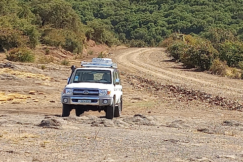 Etiopia Najlepsze 16-dniowe wycieczki, trekking w góry, wulkan, plemiona16 dni góry Simien, depresja Danakil, plemię Omo Vallely