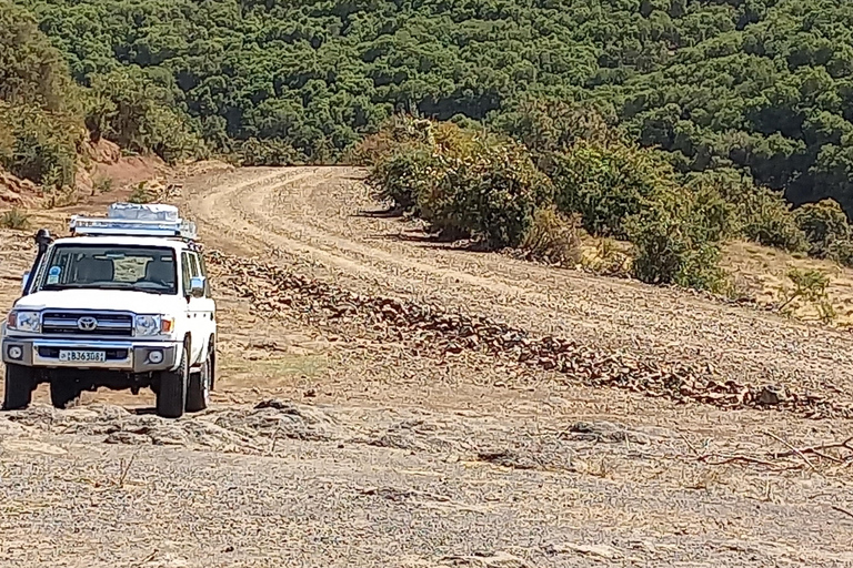 Etiopia Najlepsze 16-dniowe wycieczki, trekking w góry, wulkan, plemiona16 dni góry Simien, depresja Danakil, plemię Omo Vallely