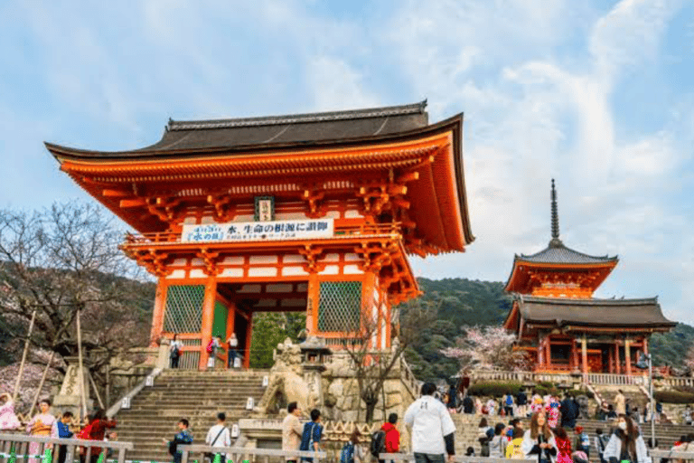 Kyoto Full Day Customizable Private Tour with English Guide