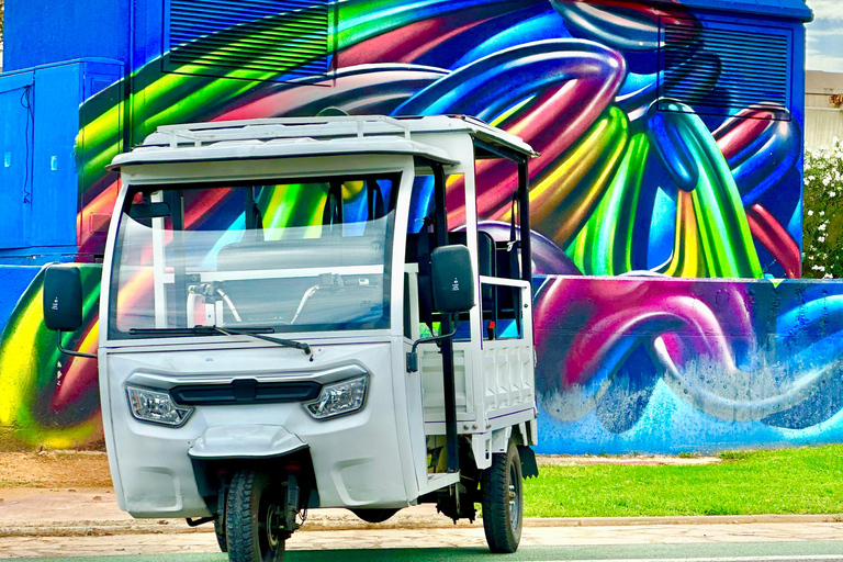 Valencia: historische tour per Tuk Tuk 1H