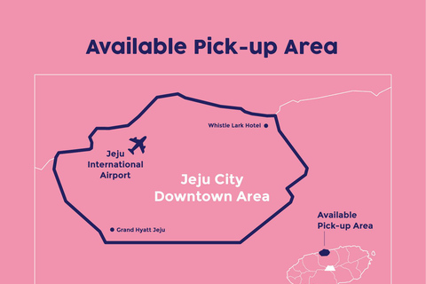 Ost-Jeju-Kirschblüte, Mandarinenpflücken Kleingruppentour