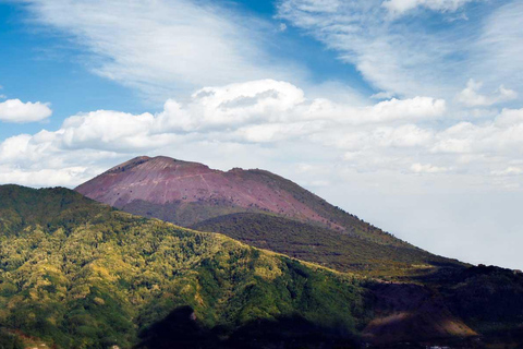 Från Pompeji: Vesuvius Entry med transfer och Audioguide